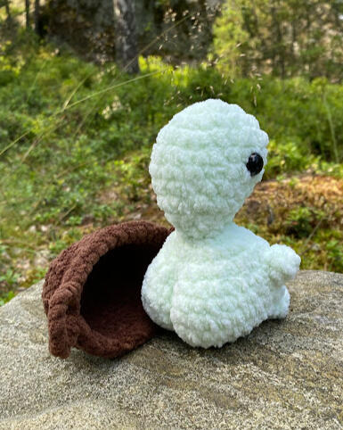 Cheeky Turtle - Back